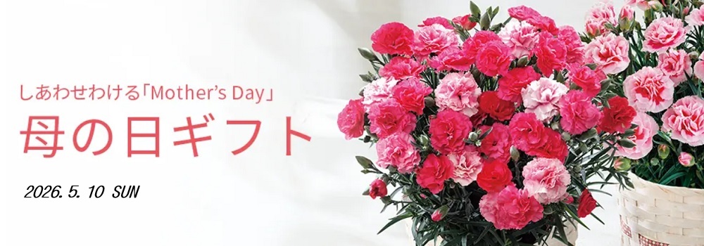 シャディサラダ館青梅新町店のおすすめ母の日ギフト