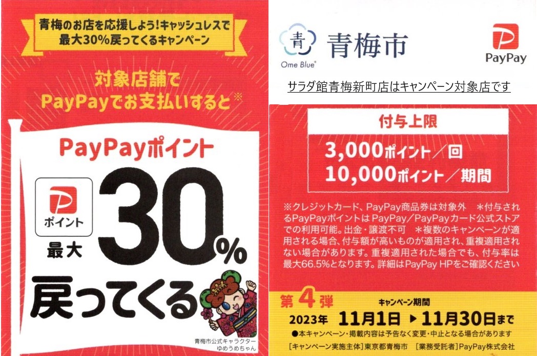 ☆シャディ サラダ館 お祝い内祝いギフト お中元お歳暮 カタログギフト